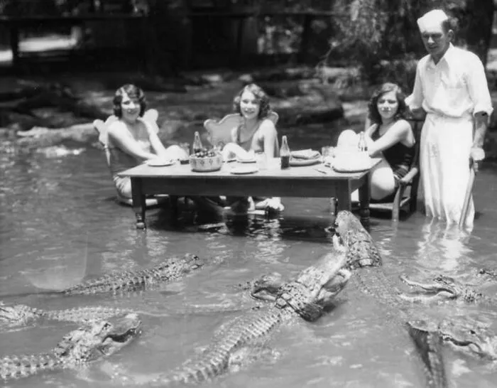 A Picnic At The California Alligator Farm In The 1920s, Located In The Lincoln Heights Neighborhood Of Los Angeles Between 1907 And 1953