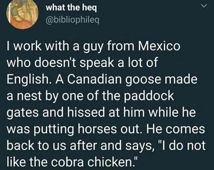 50 Painfully Funny Memes And Jokes That You Might Relate To All Too Well