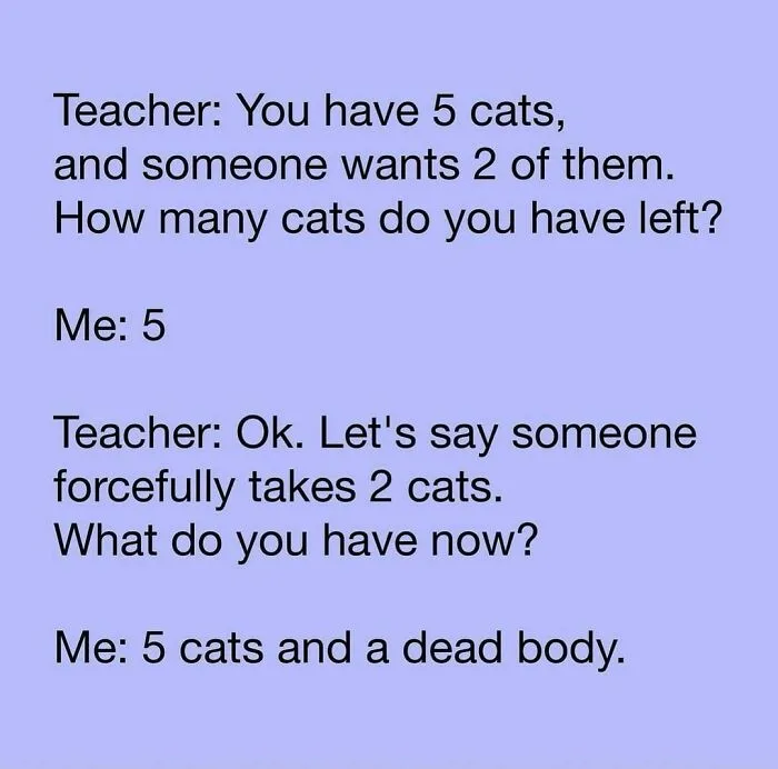 50 Funny And Relatable Cat Memes That Might Make You Want To Rescue A(nother) Cat