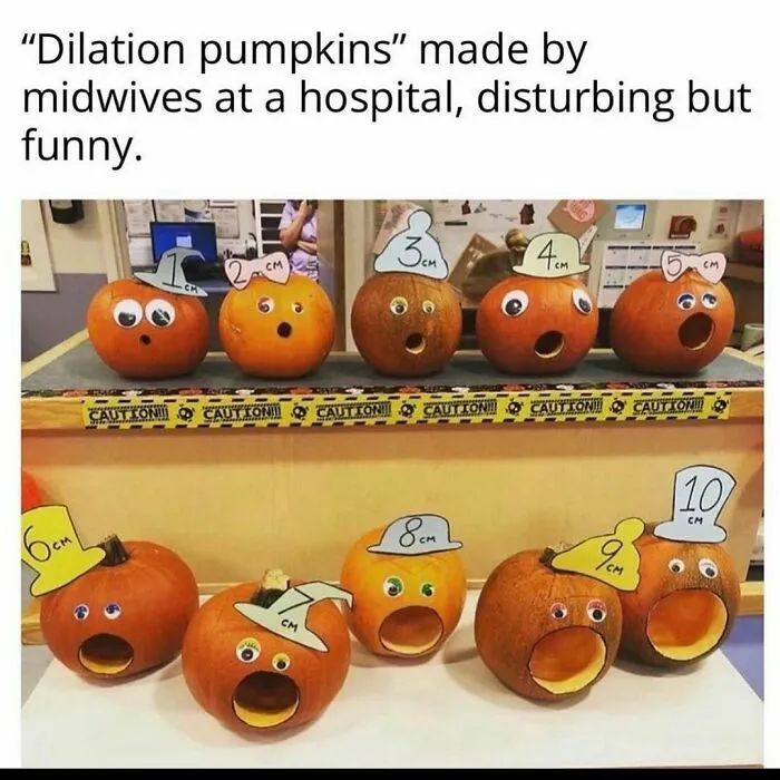 50 Hilariously Relatable Memes For Women, As Seen On The ‘Laughing Chicks’ IG Page