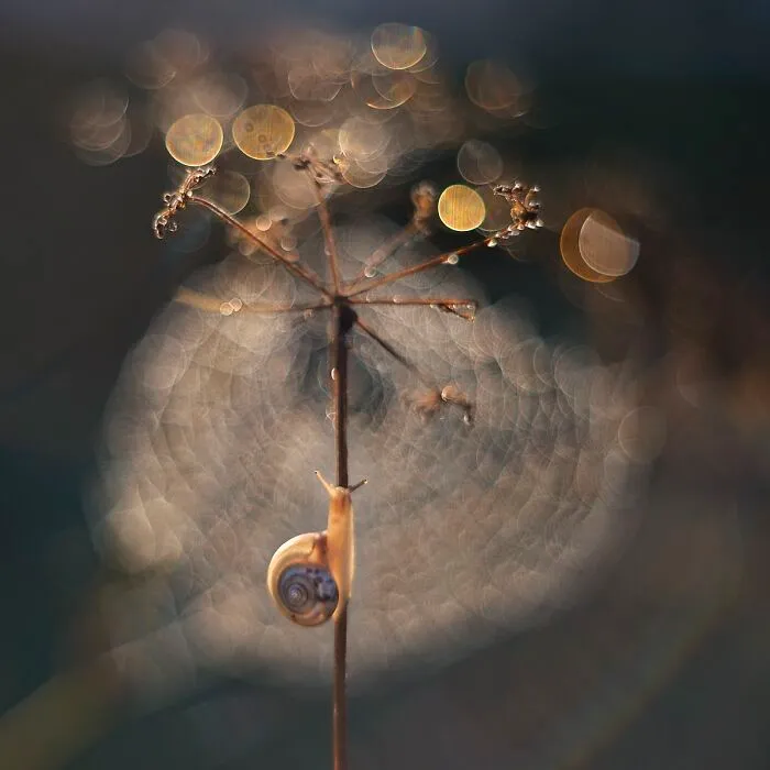 I Love To Photograph In The Morning Or Evening, Here Are 30 Of My Shots Taken During The Golden Hour