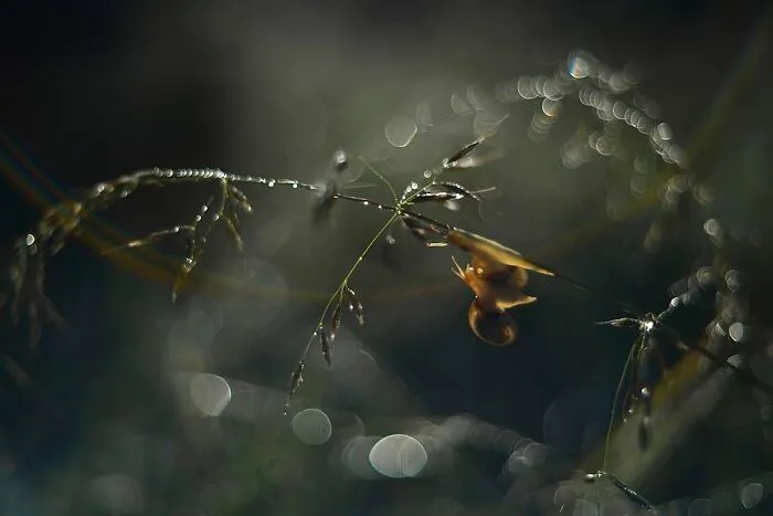 I Love To Photograph In The Morning Or Evening, Here Are 30 Of My Shots Taken During The Golden Hour