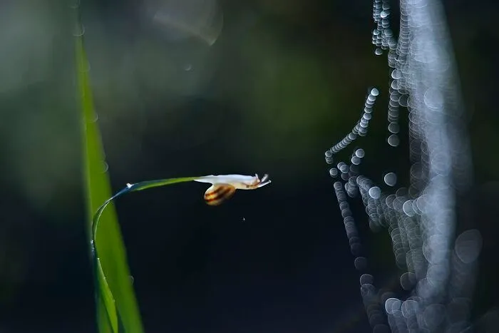 I Love To Photograph In The Morning Or Evening, Here Are 30 Of My Shots Taken During The Golden Hour