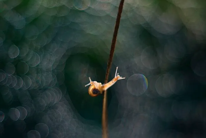 I Love To Photograph In The Morning Or Evening, Here Are 30 Of My Shots Taken During The Golden Hour