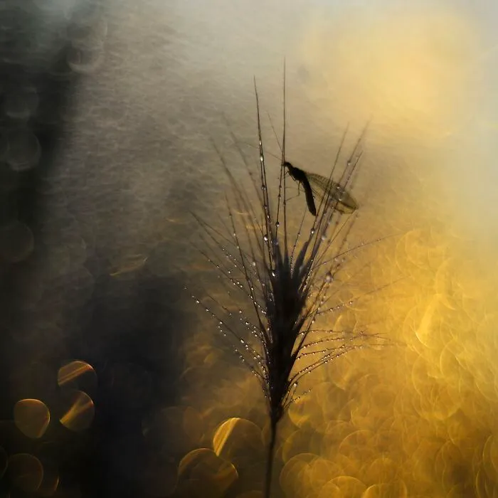 I Love To Photograph In The Morning Or Evening, Here Are 30 Of My Shots Taken During The Golden Hour