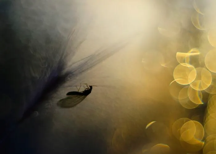 I Love To Photograph In The Morning Or Evening, Here Are 30 Of My Shots Taken During The Golden Hour