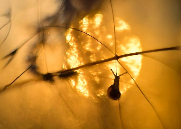 I Love To Photograph In The Morning Or Evening, Here Are 30 Of My Shots Taken During The Golden Hour