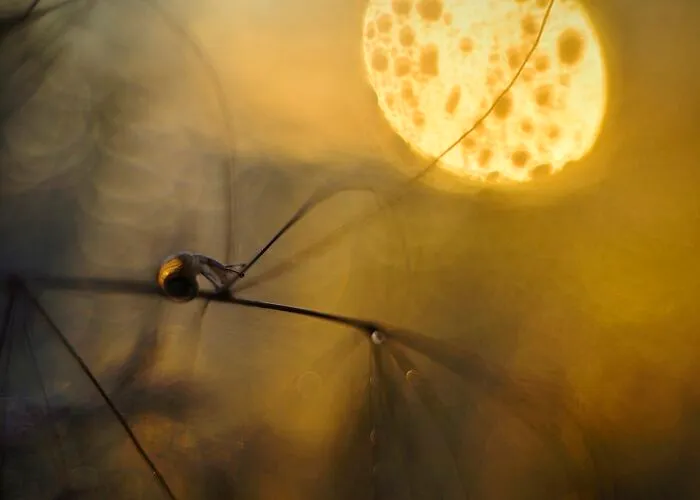 I Love To Photograph In The Morning Or Evening, Here Are 30 Of My Shots Taken During The Golden Hour