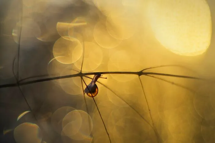I Love To Photograph In The Morning Or Evening, Here Are 30 Of My Shots Taken During The Golden Hour