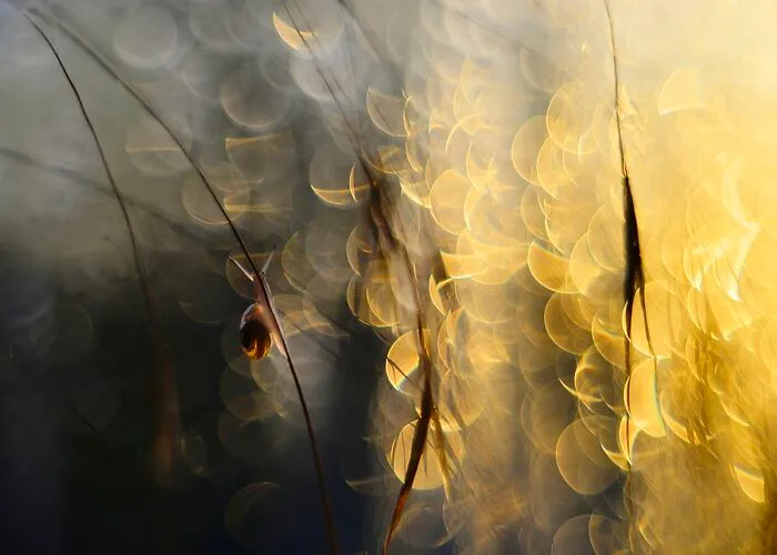 I Love To Photograph In The Morning Or Evening, Here Are 30 Of My Shots Taken During The Golden Hour