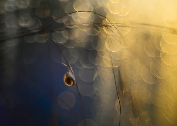 I Love To Photograph In The Morning Or Evening, Here Are 30 Of My Shots Taken During The Golden Hour