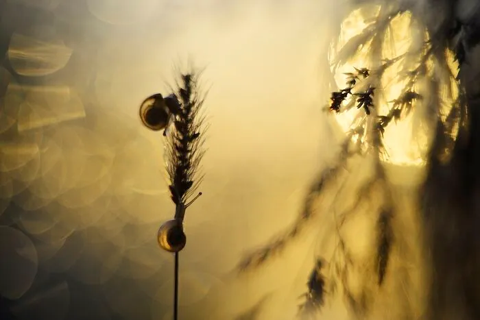 I Love To Photograph In The Morning Or Evening, Here Are 30 Of My Shots Taken During The Golden Hour