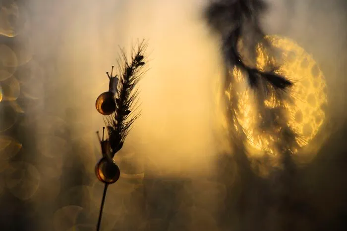 I Love To Photograph In The Morning Or Evening, Here Are 30 Of My Shots Taken During The Golden Hour