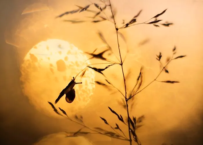 I Love To Photograph In The Morning Or Evening, Here Are 30 Of My Shots Taken During The Golden Hour
