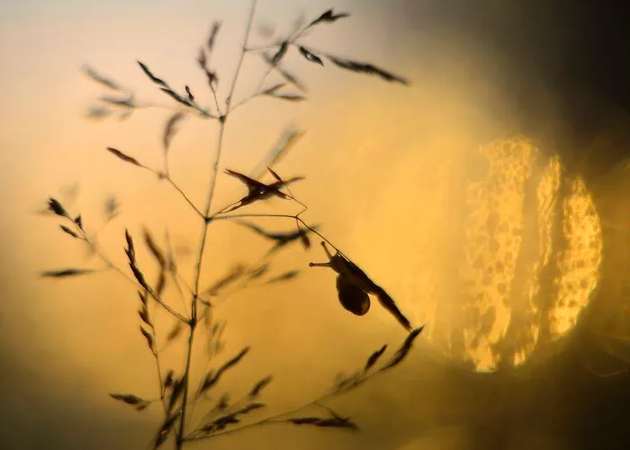 I Love To Photograph In The Morning Or Evening, Here Are 30 Of My Shots Taken During The Golden Hour