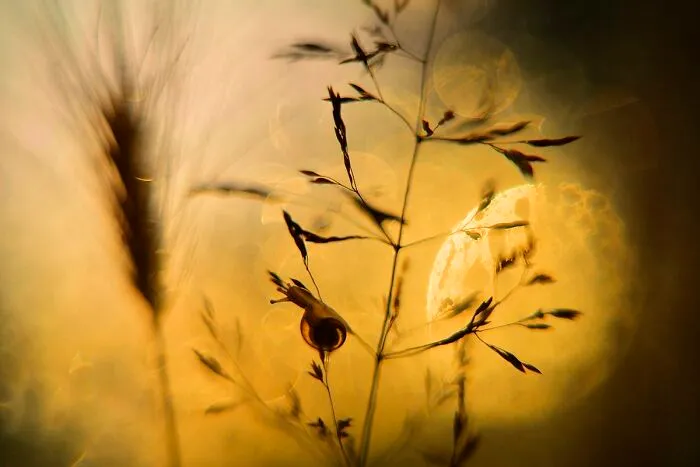I Love To Photograph In The Morning Or Evening, Here Are 30 Of My Shots Taken During The Golden Hour