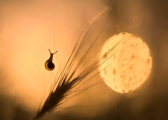 I Love To Photograph In The Morning Or Evening, Here Are 30 Of My Shots Taken During The Golden Hour