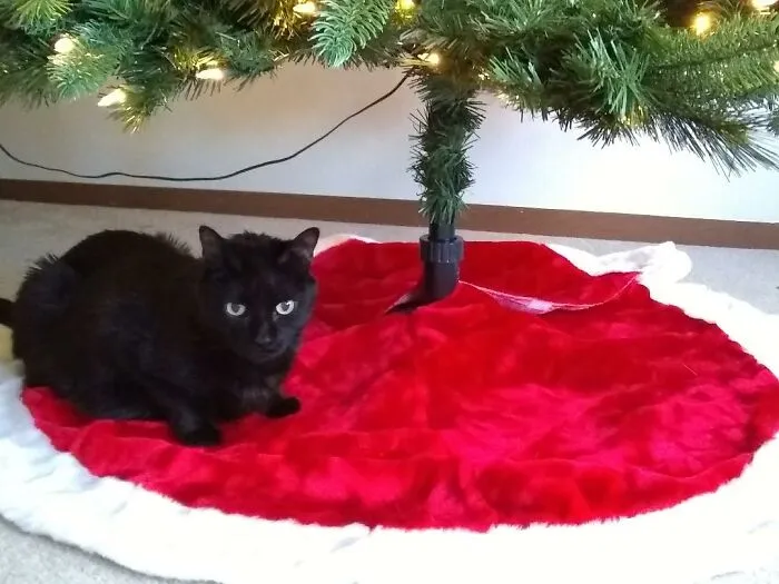 Me And My Tree