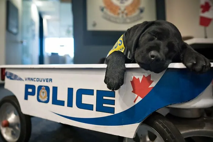Frida Had A Long Day At The Office