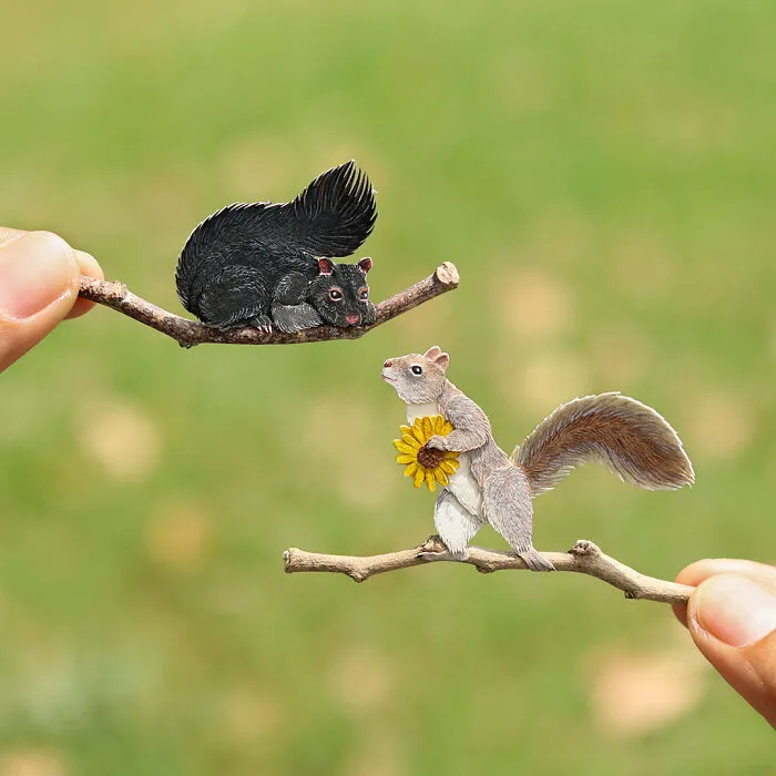Eastern Grey Squirrel