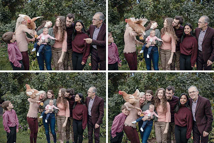 The Chicken Has Joined Our Family Photo