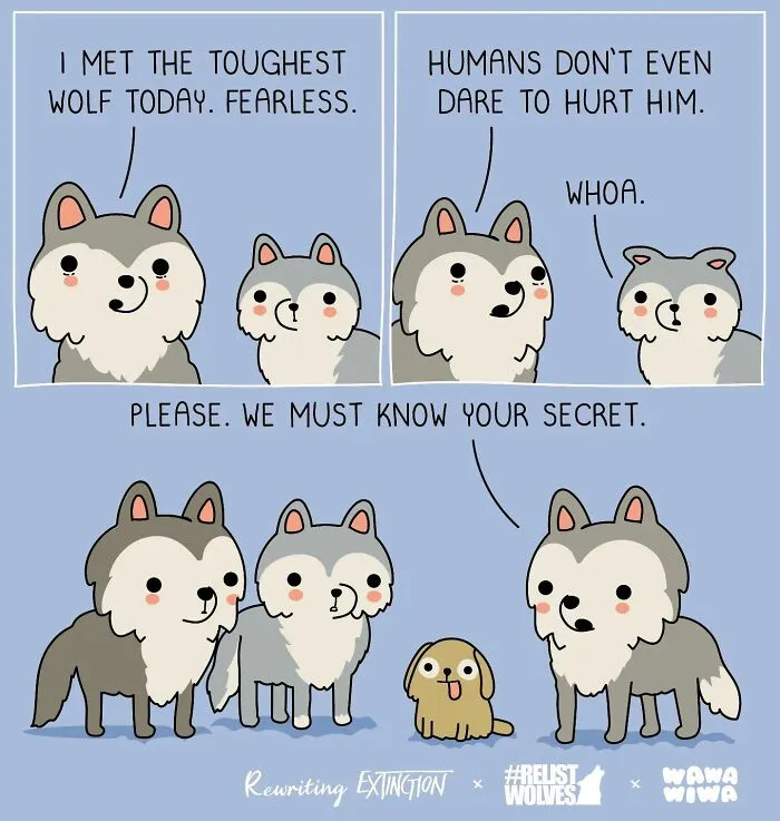 50 Charming Comics That Offer A Lighthearted Look At Everyday Situations (New Pics)