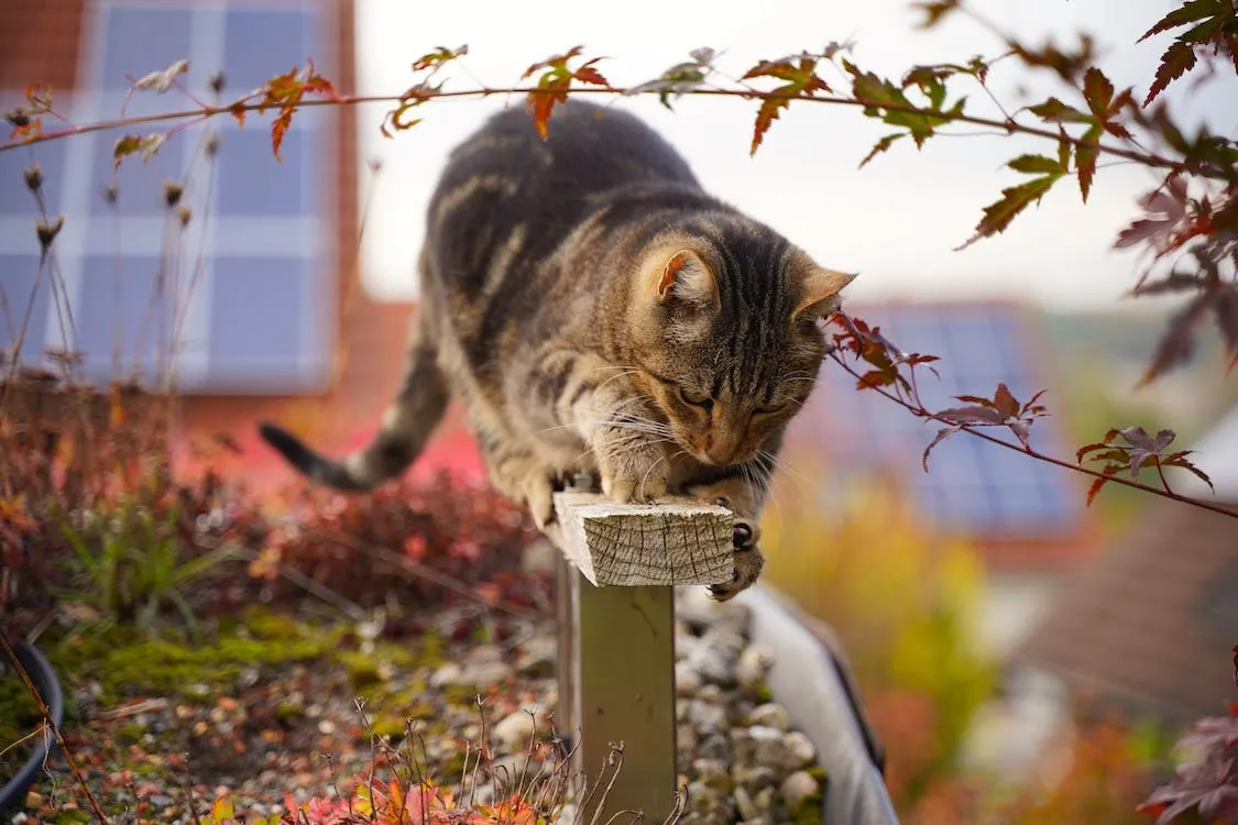 How To Get Started With Nature Photography: 10 Top Tips