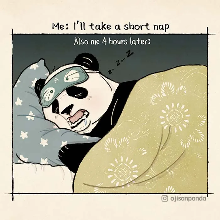 Taking A Short Nap