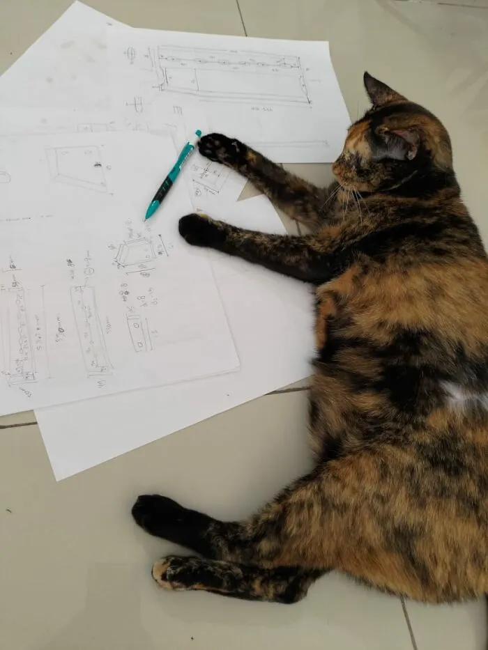 Tortie Doing The Final Checking For Hand Sketches
