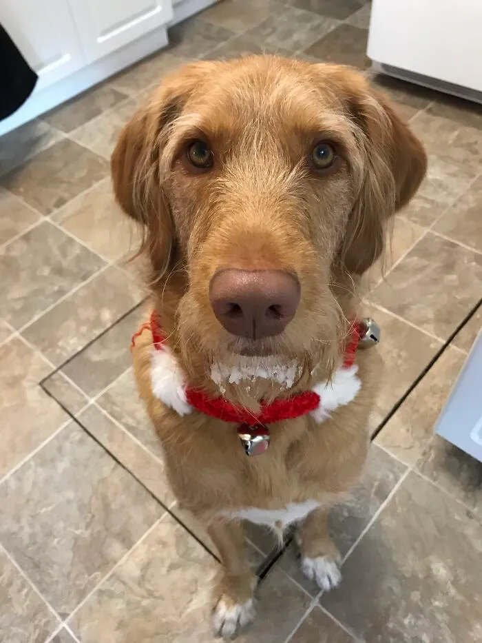 Seriously Mom? Bells?!!