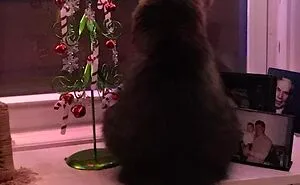 Hey Pandas, Post Adorable Holiday-Themed Pet Photos (Closed)