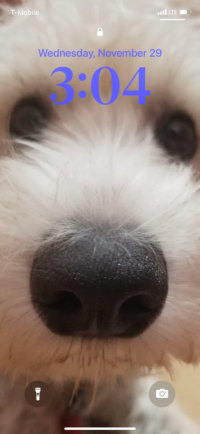 My Dog… :)