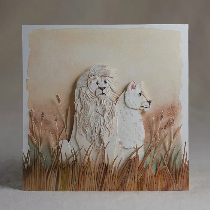African Albino Lion