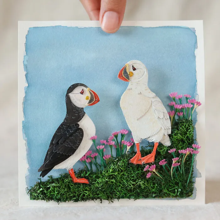 Atlantic Puffin