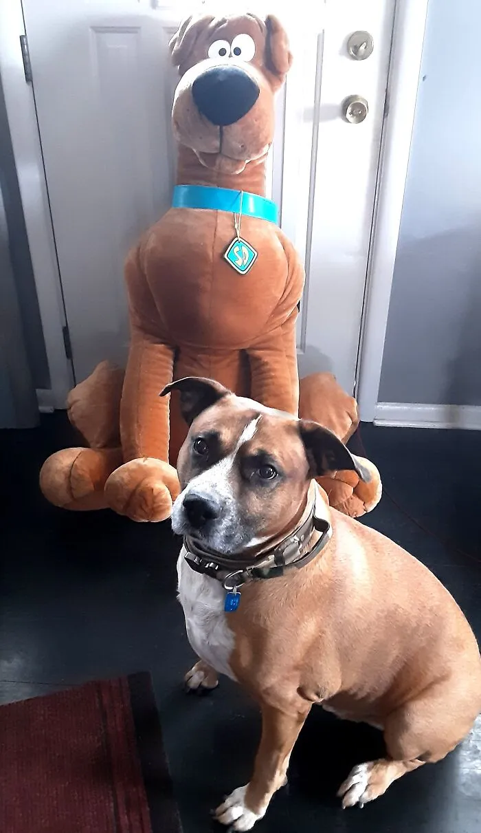 Scooby And Duece