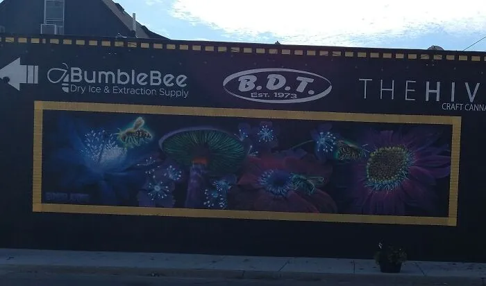 Hazel Park,mi (USA) (Sorry Bad Pic Was In Hurry This Morning) Way More Cool In Person