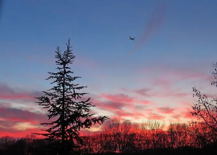 Winter Sunset