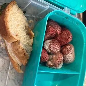 o.0.moldy strawberries.0.o
