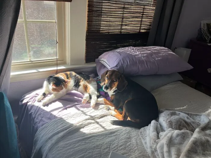 My Two Girls Daisy (Left) And Una