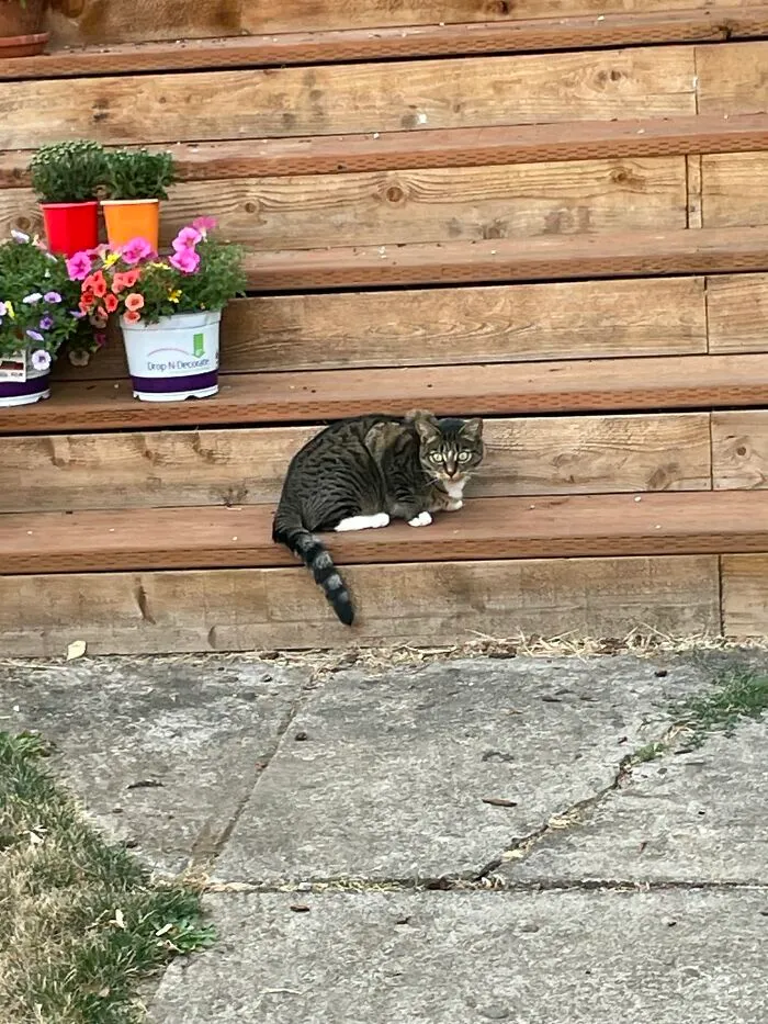 Not Mine But It’s My Neighbors