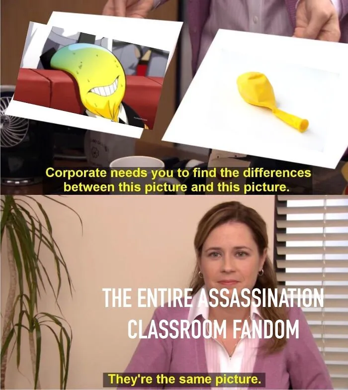 Not Wrong Tho