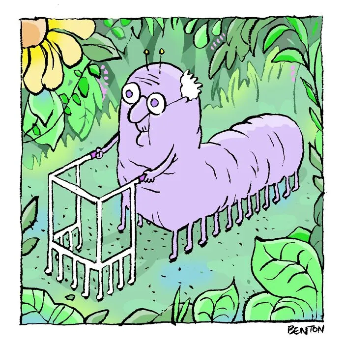 35 New Comics By Jim Benton Filled With Witty Humor