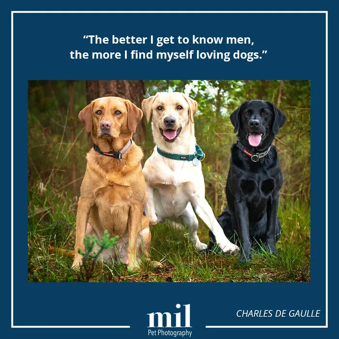 Charles De Gaulle - "The Better I Get To Know Men, The More I Find Myself Loving Dogs"