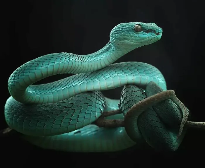 Este fotógrafo toma hermosas imágenes en primer plano de animales de sangre fría ocupándose de sus asuntos (30 fotos)