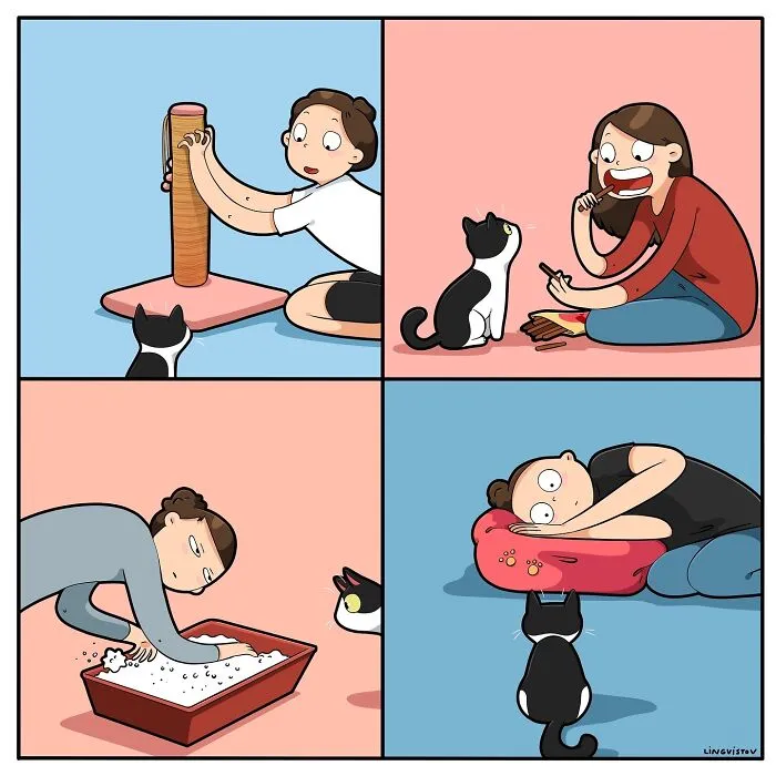 Comic Depicting Life With Cat By Lingvistov