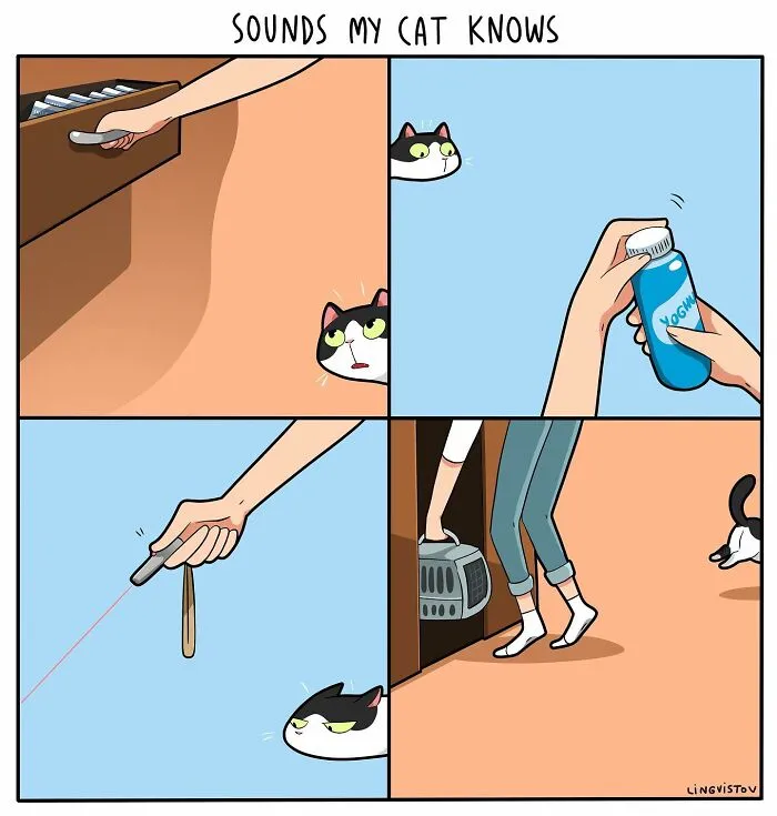 Artist Illustrates What It's Like To Live With A Cat (30 New Pics)