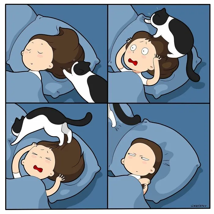 Artist Illustrates What It's Like To Live With A Cat (30 New Pics)