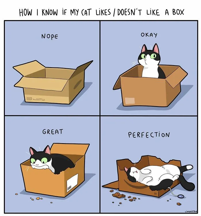 Artist Illustrates What It's Like To Live With A Cat (30 New Pics)