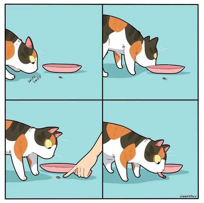 Una artista ilustra cómo es vivir con un gato (30 fotos nuevas)