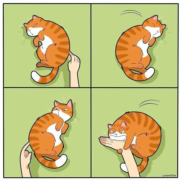 Una artista ilustra cómo es vivir con un gato (30 fotos nuevas)